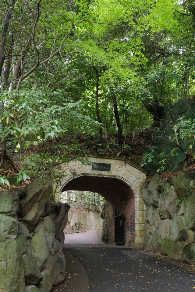 R0000686.JPG
