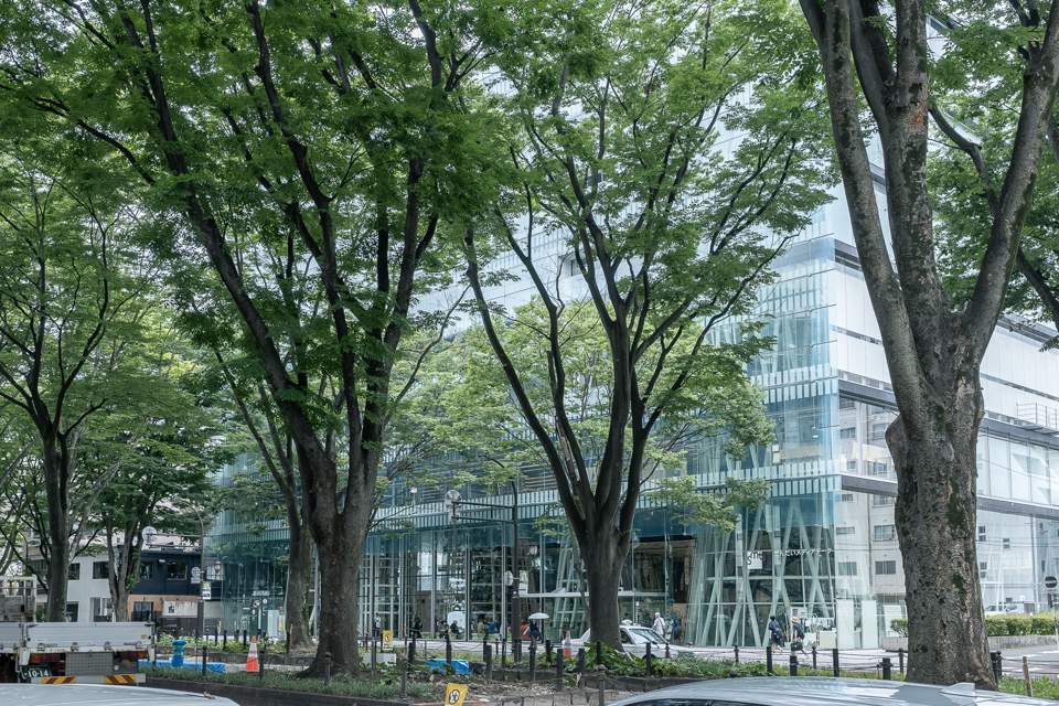 1-R0008133.jpg